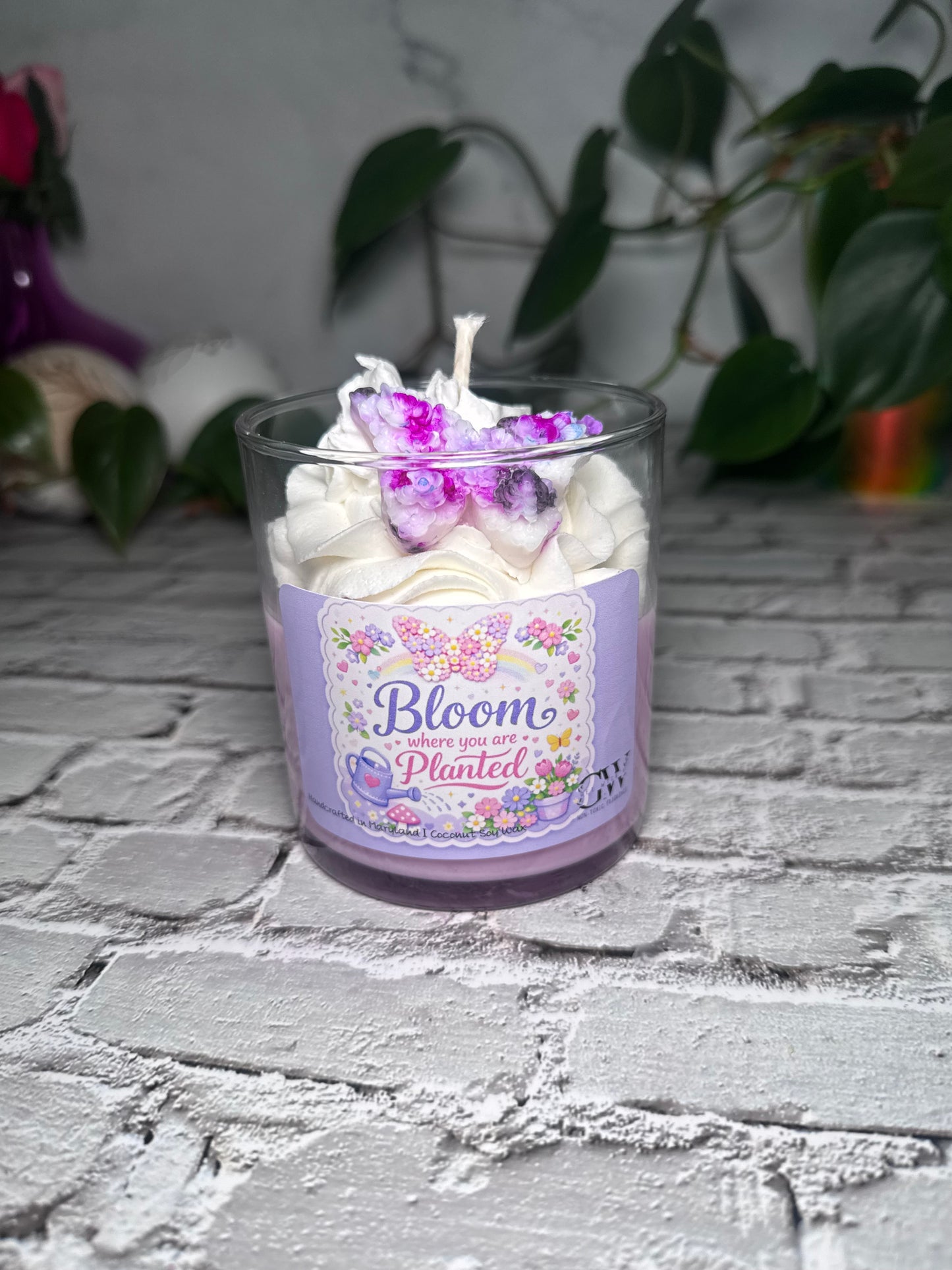 Bloom Where You Are Planted - Royal Melon Fizz