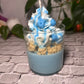 Blueberry Cheesecake
