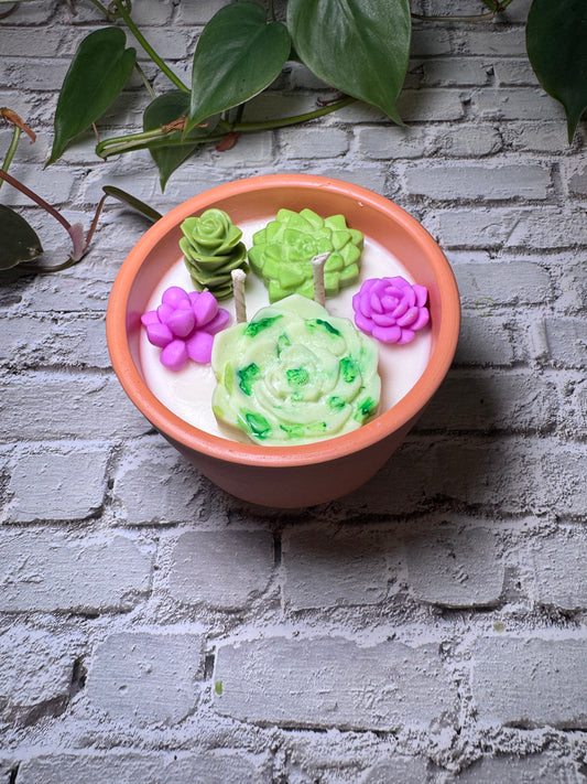 Succulent Candle