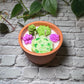 Succulent Candle
