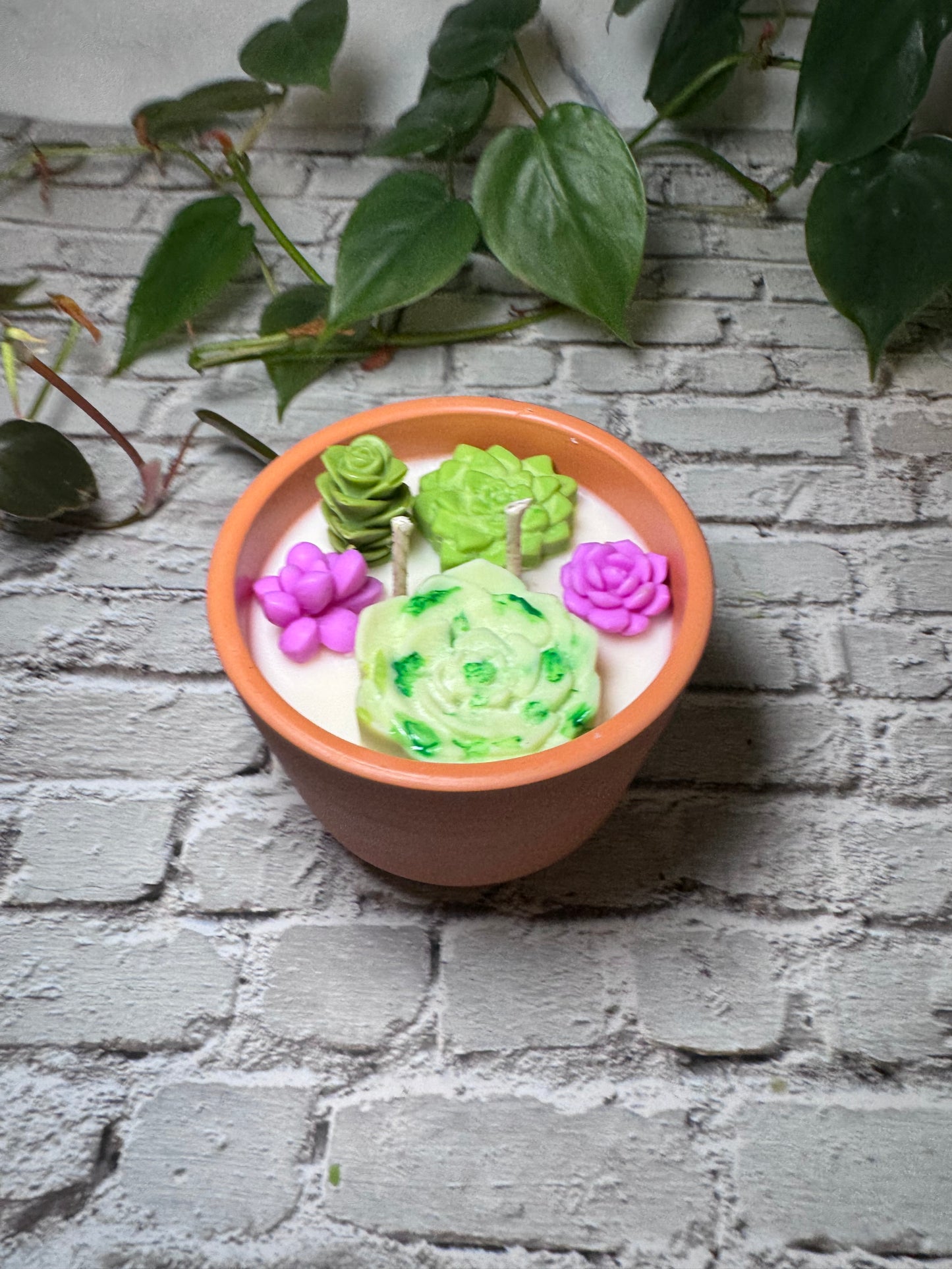 Succulent Candle