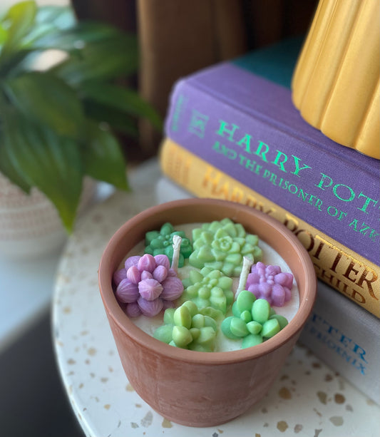 Succulent Candle