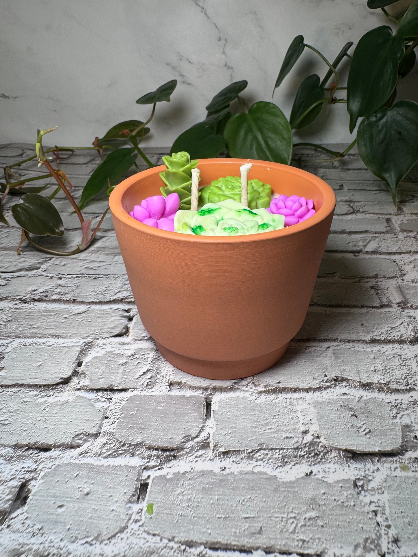Succulent Candle