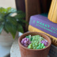 Succulent Candle