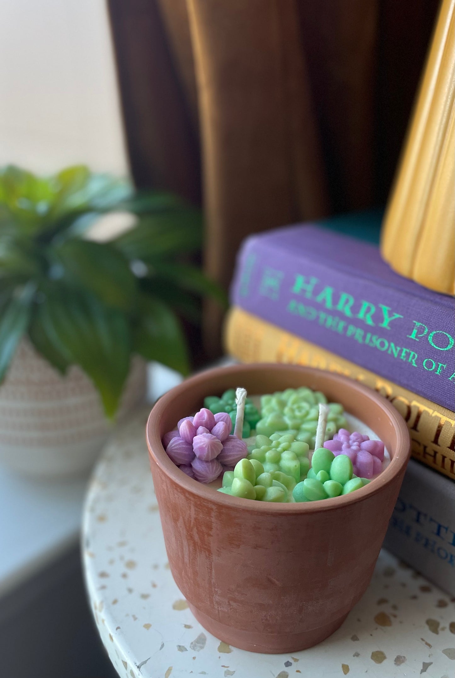 Succulent Candle