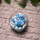 Blueberry Cheesecake