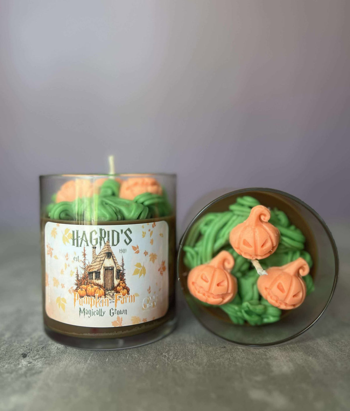 Hagrid's Pumpkin Patch